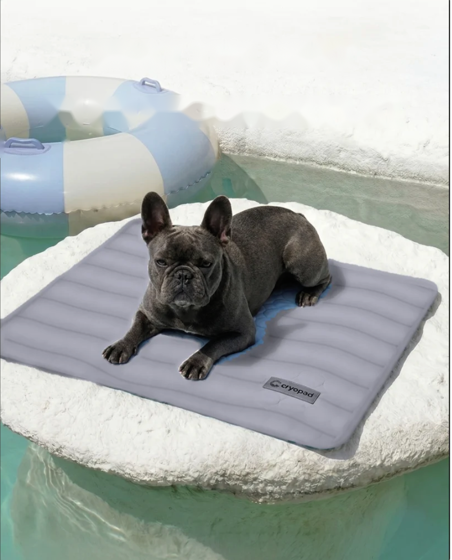 CryoPad™ - Self Cooling Dog Mat 2.0