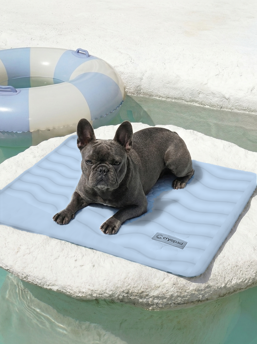CryoPad™ - Self Cooling Dog Mat 2.0